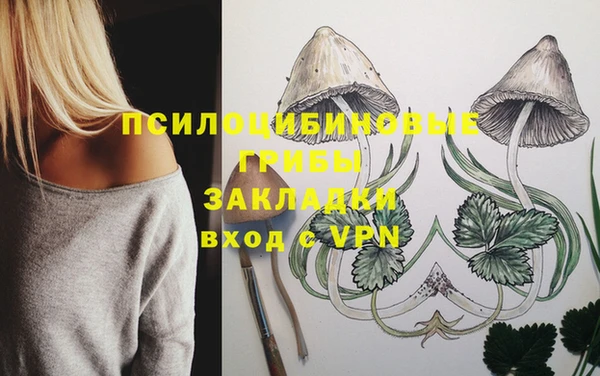 mdpv Балахна