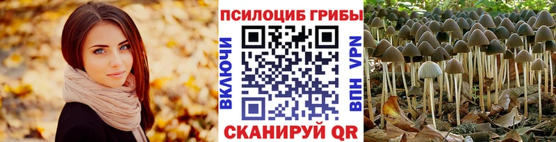 Псилоцибиновые грибы ЛСД  Заречный 