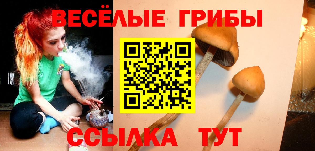 Псилоцибиновые грибы GOLDEN TEACHER  Вход с VPN  Заречный 
